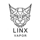Linx Vapor logo