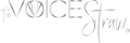 The Voice Straw logo