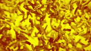Bacteria in the body animation: topic Legionella, cholera or MRSA