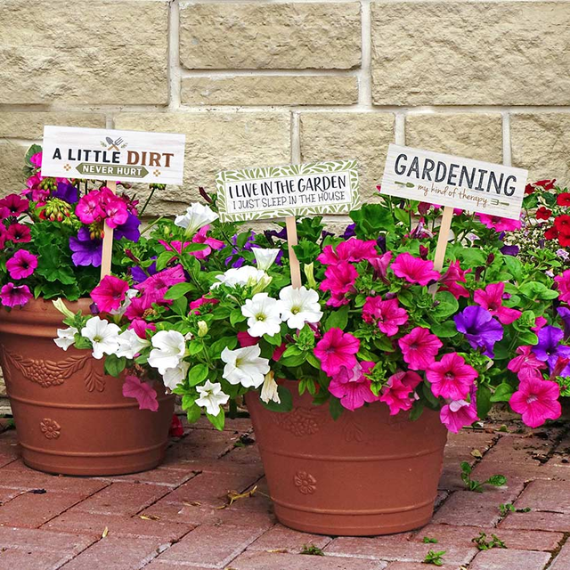 Set of 3 Fun Garden Signs with Sayings for Planters and Beds