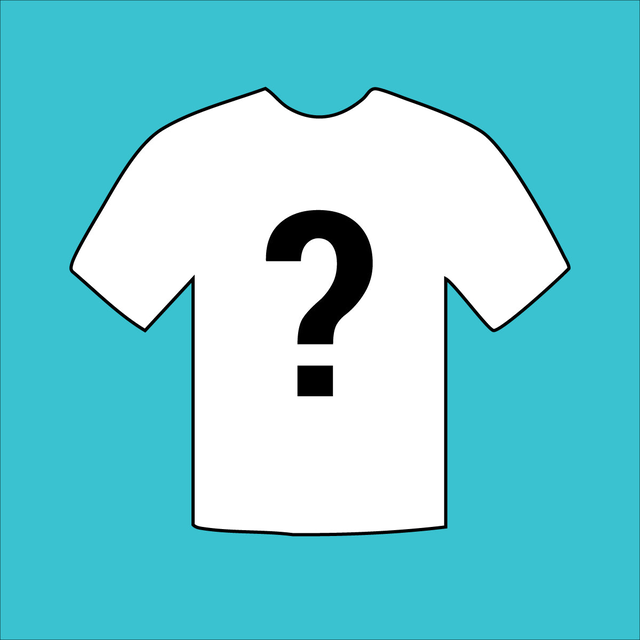 Mystery T-Shirt
