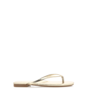 WINSOR - GOLD METALLIC