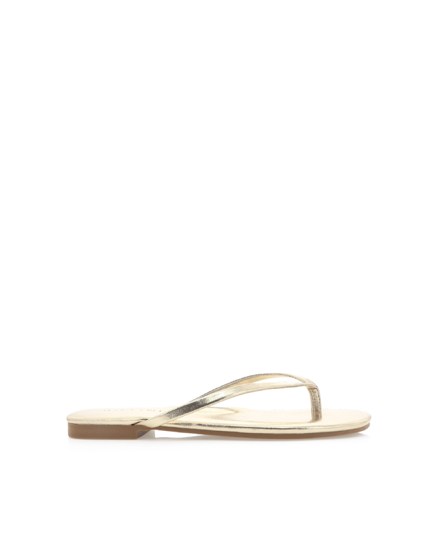 WINSOR - GOLD METALLIC