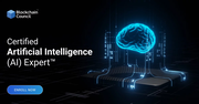 Certified Artificial Intelligence (AI) Expert™