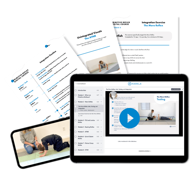 Primitive Reflexes - Master Level