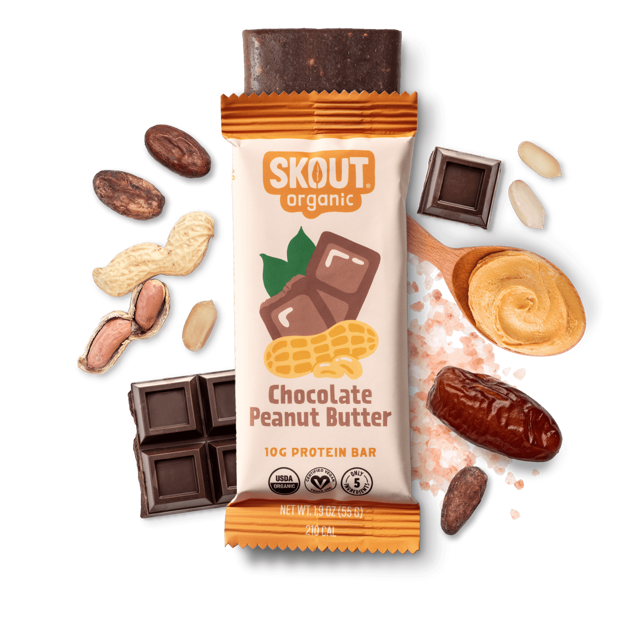 Skout Organic Chocolate Peanut Butter Protein Bar
