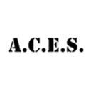 A.C.E.S. Flight Simulation logo