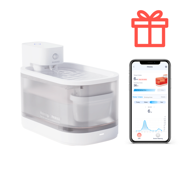 PAWAii Wireless Pet Water Fountain Pro