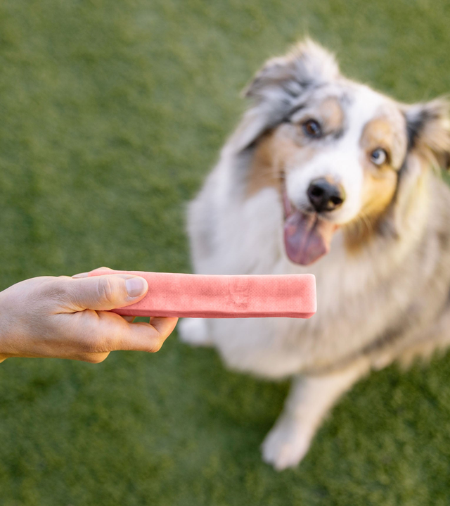 Long Lasting Himalayan Yak Chew - Strawberry and Yak Cheese for Dogs