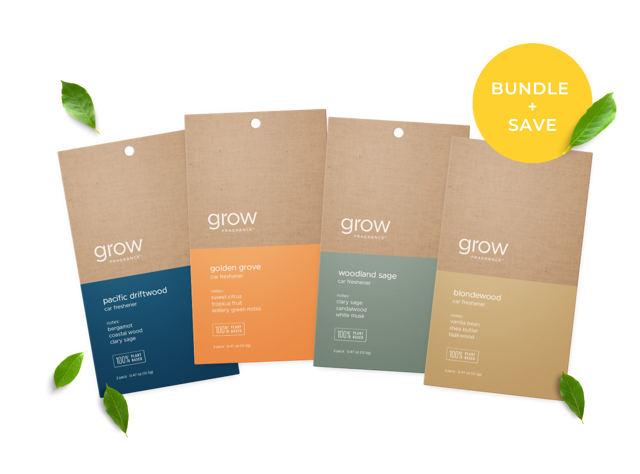 Non-Toxic Car Freshener Bundle