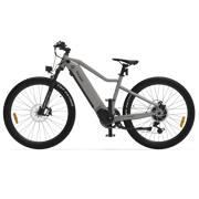 Torrent 1 City Commuter Cruiser eBike