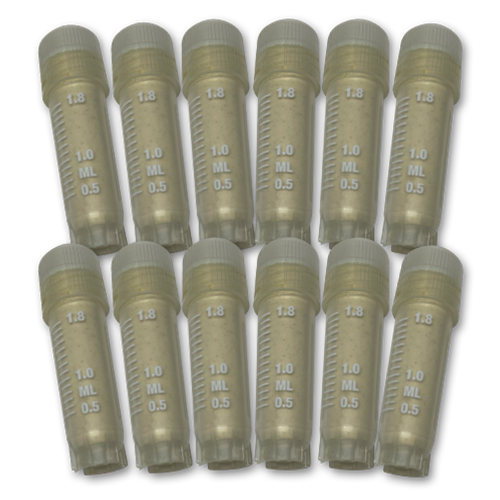Testclear Urine -12 Pack