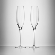Elegance Optic Classic Champagne Flute, 8oz, Set of 2