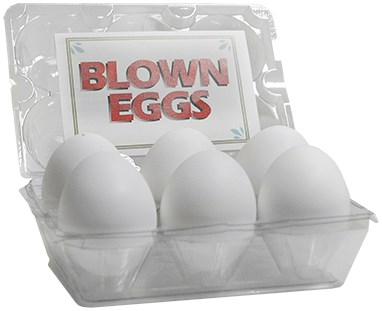 High Quality Blown Eggs