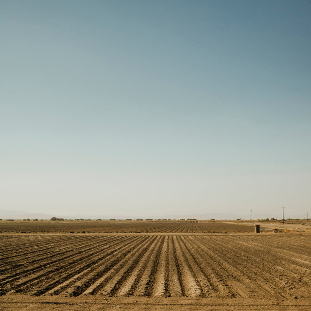 The Womens Midweight Organic Cotton Tee