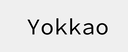 Yokkao logo
