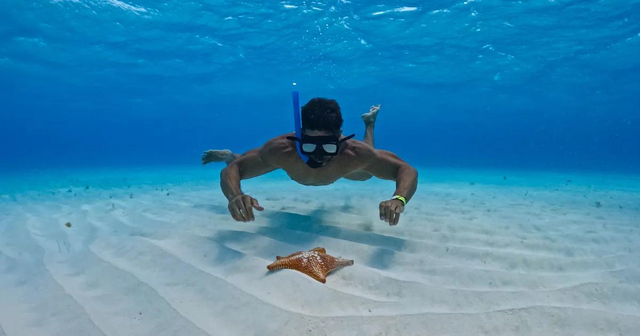 El Cielo Cozumel Snorkeling