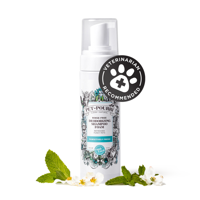 Rinse-Free Deodorizing Shampoo