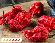 Carolina Reaper Pepper (2 Pack)