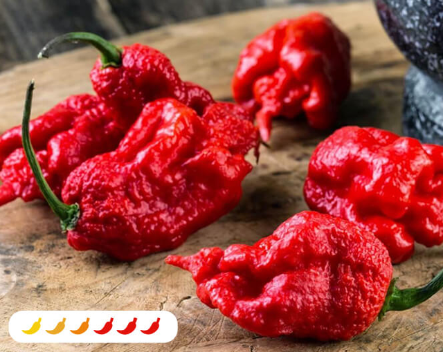 Carolina Reaper Pepper (2 Pack)