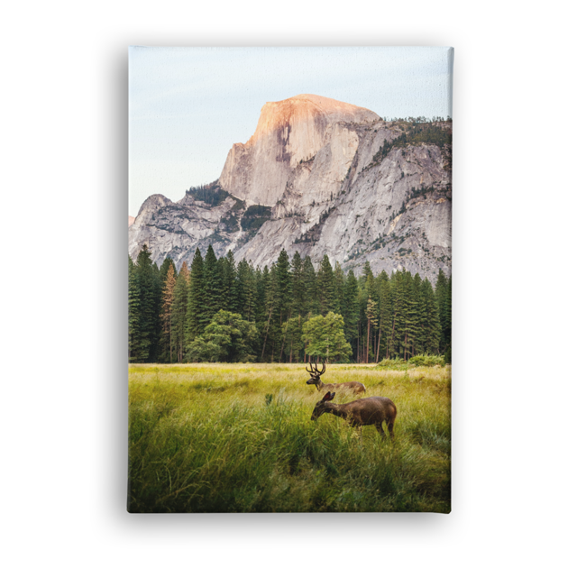40" x 30" Portrait Canvas Print