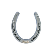 Personalized Lucky Horseshoe - Natural Metal Finish