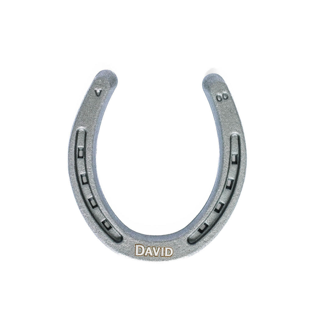 Personalized Lucky Horseshoe - Natural Metal Finish