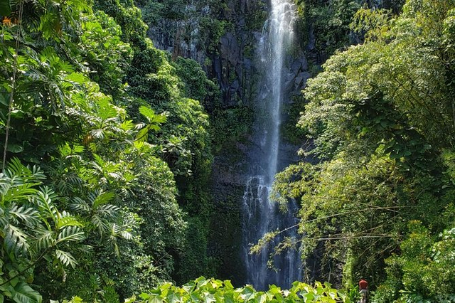 Road to Hana Adventure Tour with Pickup, Small Group