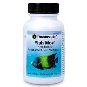 Fish Mox - Amoxicillin 250 mg - UPDATED PRODUCT AVAILABLE NOW