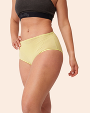 High Waisted Bikini Brief