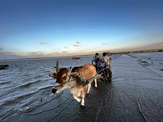 Taichung & Changhua | Fangyuan Grilled Oysters & Lukang Old Street & Glass Museum Day Trip | Departing from Taichung