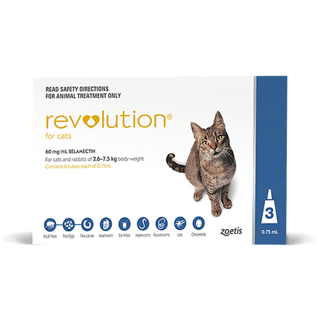 Revolution Cat 5-15lbs Blue