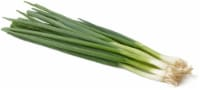 Green Onions, 1 ct