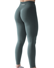 AUROLA Intensify 25'' Leggings