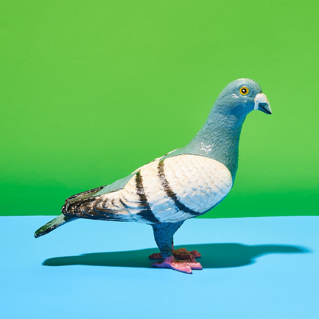 Cast Iron Pigeon Sculpture