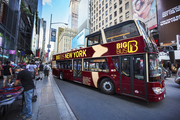 Big Bus Downtown Tour - City Sightseeing NY