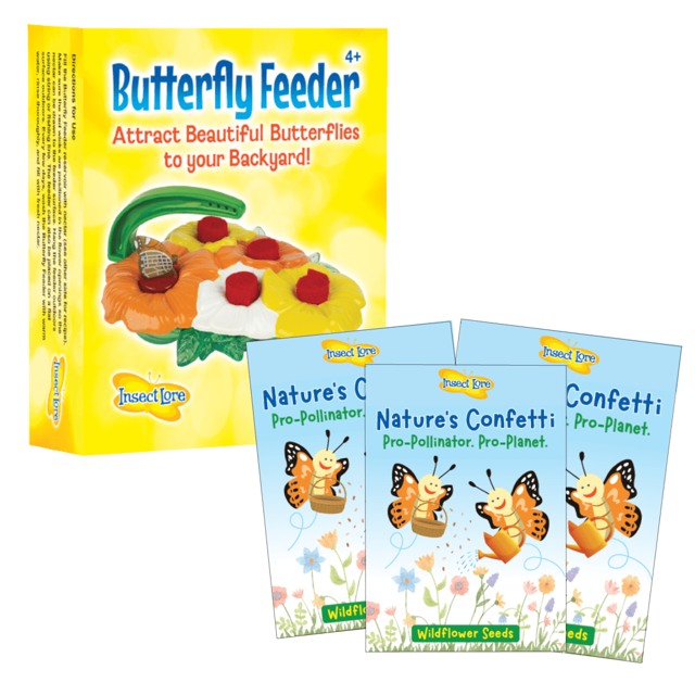 Deluxe Butterfly Feeder and Wildflower Seeds Bundle