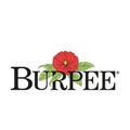 Burpee logo