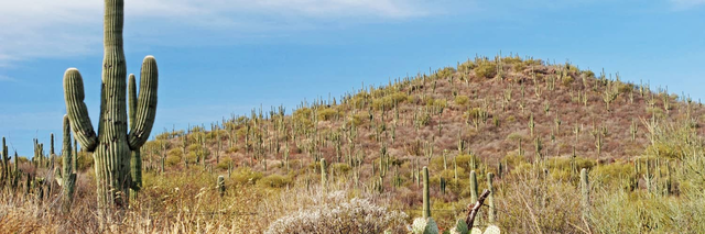 American Airlines flights to Hermosillo from **Flights.FromLowestPrice***