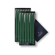 12" Evergreen Handipt Taper, 12 Pack