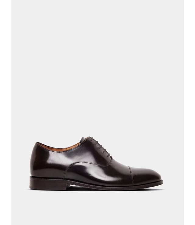Brown Oxford Shoe