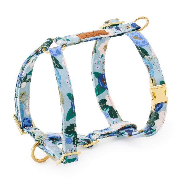 Rifle Paper Co. x TFD Vintage Blossom Dog Harness