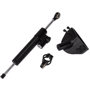 Dampener+Dampener bracket  Raptor