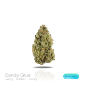 THC-A Flower - Candy Glue - (Indoor) (Sativa Hybrid)