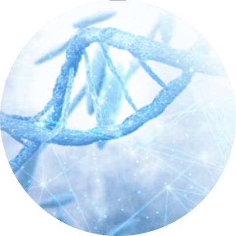 Genetic Testing For Disease Risk | Disease Genetic Analysis