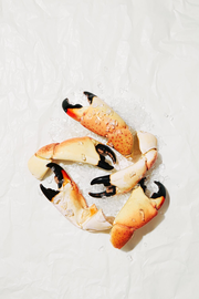 Colossal Stone Crab Claws