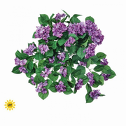 27" Hanging Hydrangea Plant - Lavender - UV Treated