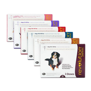 Revolution (Monthly) (Selamectin)