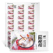 Frosty Hot Cocoa NetStamps Sheets