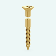 Screw Earring - Long